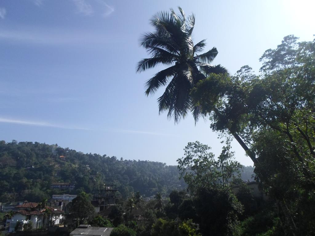 Kandy Hills Exteriör bild